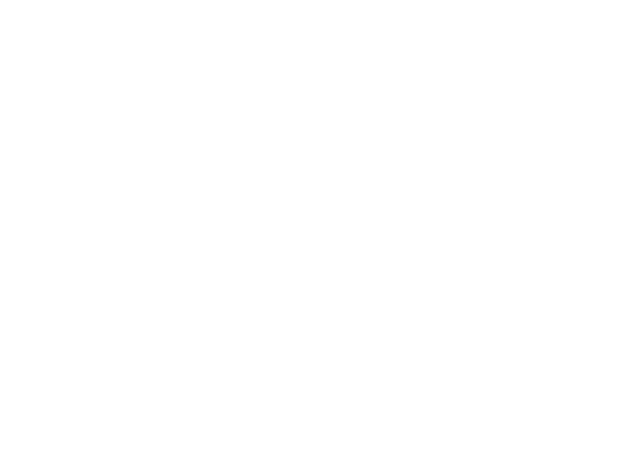 Stepanek sport