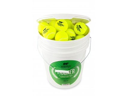 stepanek trainer 2019 3