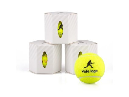 123 1 stepanek vase logo 2.jpg