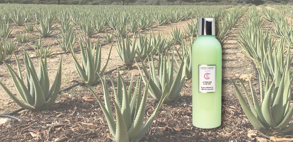 Gel po opalování s aloe vera - první pomoc pro pokožku po dni na slunci