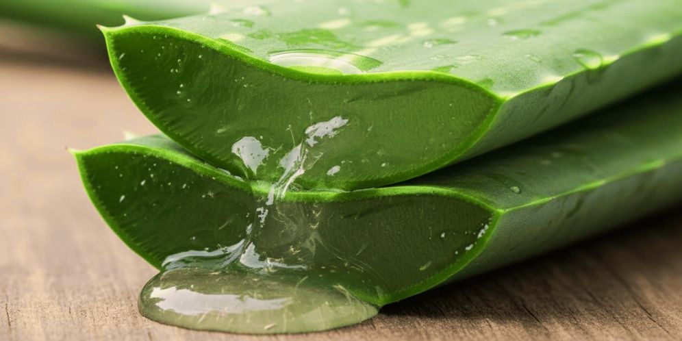Aloe-vera-gel-Stephen-Cordina