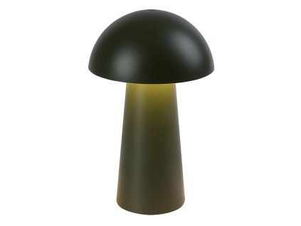 Obrázek_(1)