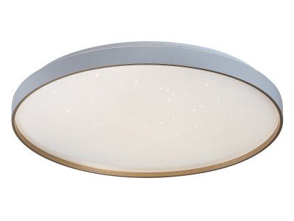 ZERAVA LED stropní svítidlo 71453