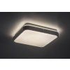 Obrázek_(4)