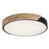 MAPLE2 LED stropní svítidlo 71416