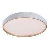 ZERAVA LED stropní svítidlo 71452