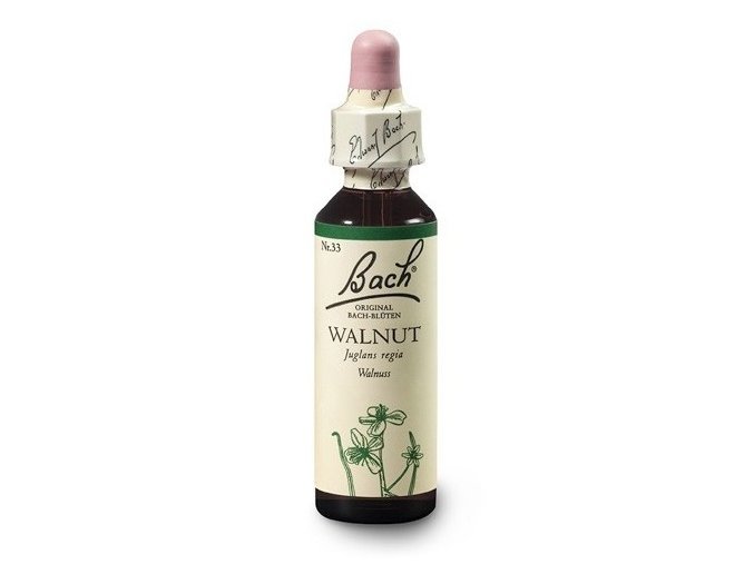 Bachovy esence Walnut 20ml