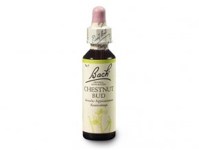 Bachovy esence Chestnut Bud 20ml