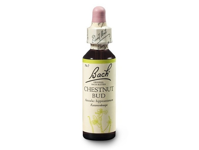 Kaštan koňský, poupě (Chestnut Bud) 20 ml - Bachovy esence Dr.Bach