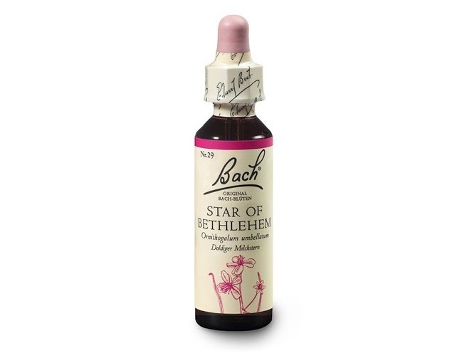 Snědek okoličnatý (Star of Bethlehem) 20 ml - Bachovy esence