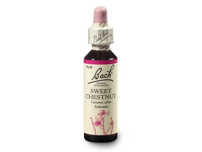 Kaštan jedlý (Sweet Chestnut) 20 ml - Bachovy esence Dr.Bach