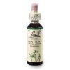 Centaury 20ml Bachovy kapky