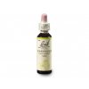 Bachovy esence Honeysuckle 20ml