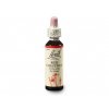 Bachovy esence Red Chestnut 20ml