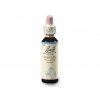 Bachovy esence Vervain 20ml