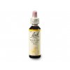 Bachovy esence Wild Oat 20ml
