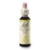 Wild Rose 20ml Bachovy kapky