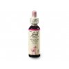 Bachovy esence Willow 20ml