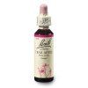 Crab Apple 20ml Bachovy kapky