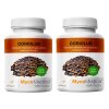 Mycomedica Coriolus 2ks