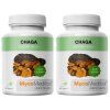 Mycomedica Chaga 2ks
