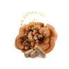 MycoMedica Maitake PRO 90ks (2)