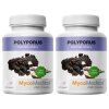 MycoMedica Polyporus 2x90 kapslí