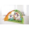 Fisher-Price Rainforest hrací deka s hrazdičkou K4562