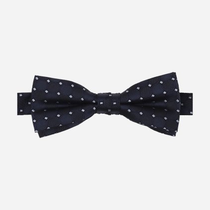 modry hodvabny motylik