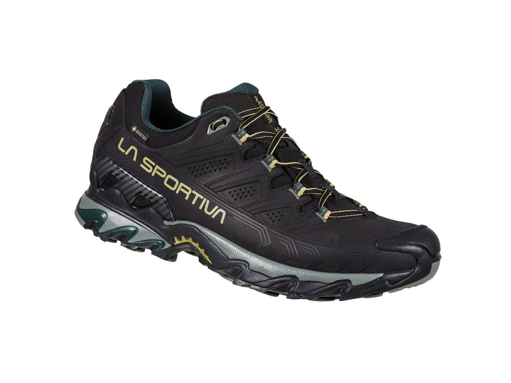 Ultra Raptor II Leather Wide GTX
