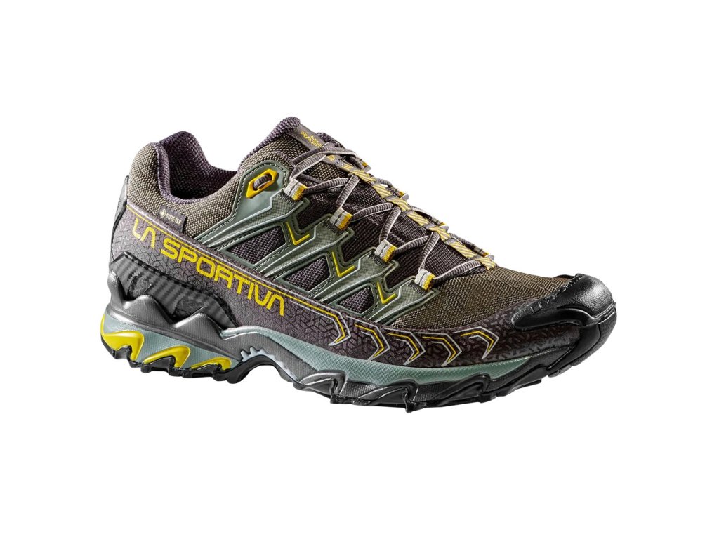 Ultra Raptor II Wide Gtx Men