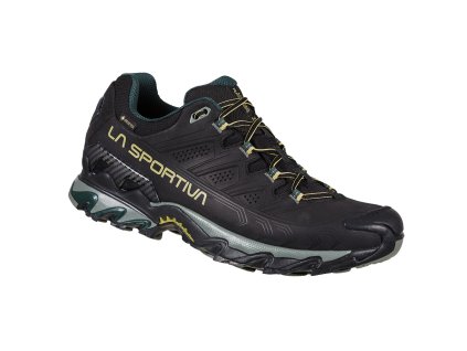 Ultra Raptor II Leather Wide GTX