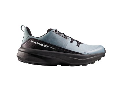 Aenergy Hike Low GTX Men