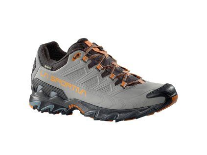 Ultra Raptor II Leather GTX