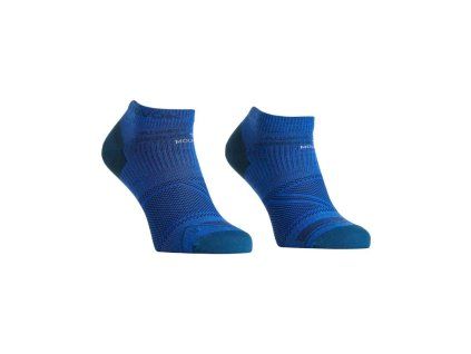 Alpine Light Low Socks Men's