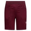 ROOTS SHORTS Men