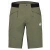 Aenergy Light SO Shorts Men