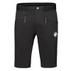 Aenergy Light SO Shorts Men