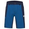 Ducan Shorts Men