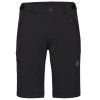 Runbold IV Shorts Men