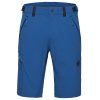Runbold IV Shorts Men