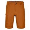 Pelmo Shorts Men's (Velikost L, Barva Bristle Brown)
