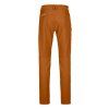 Pelmo Pants Men's (Velikost L, Barva Bristle Brown)
