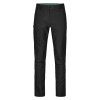 Pelmo Pants Men's (Velikost L, Barva Bristle Brown)