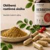 Allnature Berberin extrakt 98% 500 mg, 60 kapslí