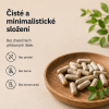 Allnature Berberin extrakt 98% 500 mg, 60 kapslí