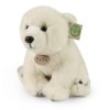 Rappa Plyšový lední medvěd 28 cm ECO-FRIENDLY