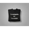 I'm unstoppable. NO. I'm unstable! - PÁNSKA MIKINA