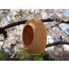 Bird feeder 16