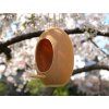 Bird feeder 17